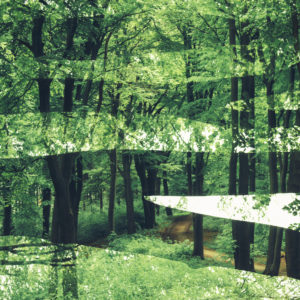 Springtime in Teutoburg Forest Springtime in Teutoburg Forest